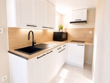 appartement t2 entièrement rénové plein centre