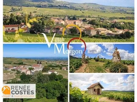 vente en nue propriété - h75 ans - villie morgon (69910)