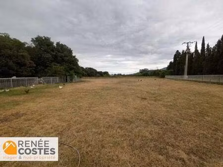 viager occupé - h84 ans - le boulou (66160)