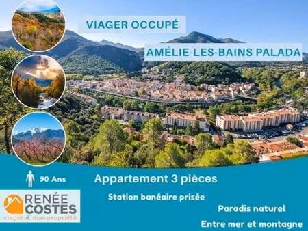 viager occupé - h90 ans - amelie les bains palalda (66110)