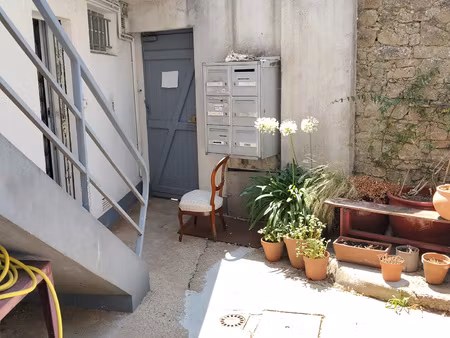 zola rdc appartement 1 chambre