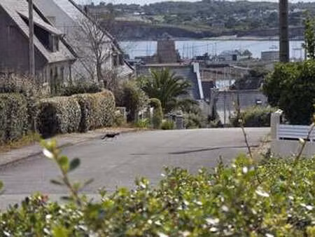 vente maison à camaret-sur-mer (29570) : à vendre / 83m² camaret-sur-mer