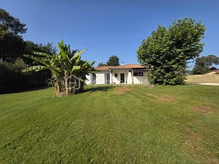 viager occupé (castets 40260) – belle maison familiale avec panneaux solaires et grand ter
