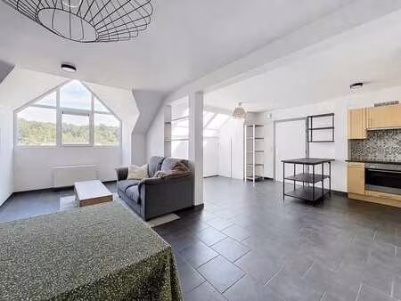 appartement 1 ch au centre de sprimont !