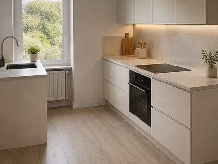 appartement f2 rénové 60 m² avec garage