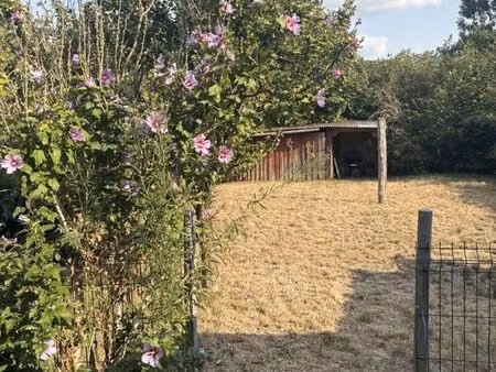 location maison 63m2