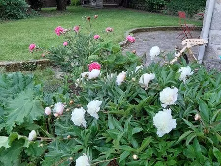 location maison vide grand jardin garage