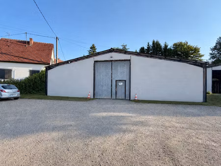 local professionnel a usage d'entrepot - 400 m2