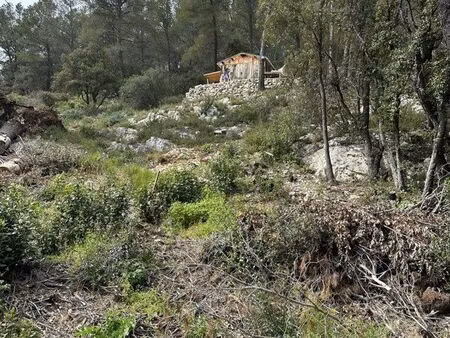 terrain de loisir avec cabane