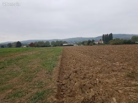 terrain agricole