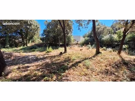 vente terrain constructible