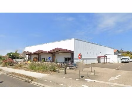 investisseurs & promoteurs – ensemble immobilier 825 m² – mont-de-marsan