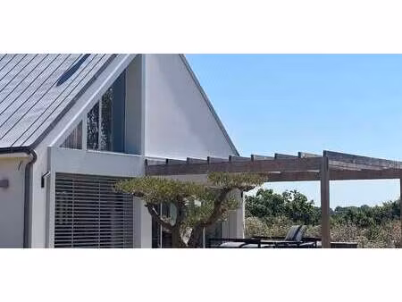 maison contemporaine avec jardin et terrasse surzur (56)