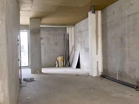 locaux professionnels decines charpieu - le molard