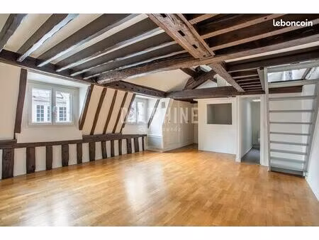 duplex 1 pièce 34 m²