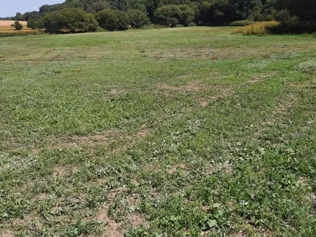 vente terrain 61 200 m²