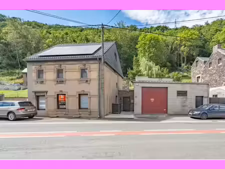 spacieuse maison avec grand jardin et vaste garage/entrepôt