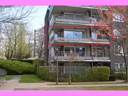 appartement lumineux prêt à l'emploi 2 ch 98 m2 jette