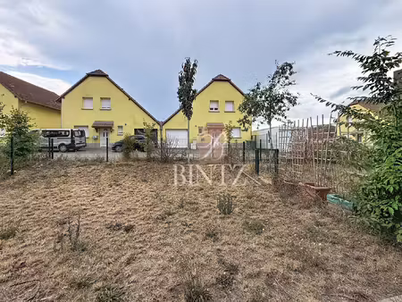 appartement à louer molsheim