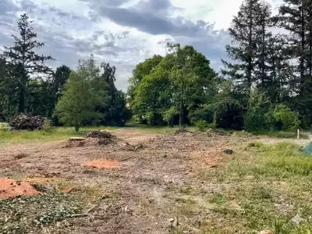terrain 531m2