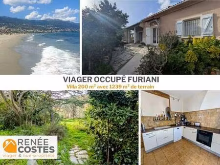 viager occupé - f66-h62 ans - furiani (20600)