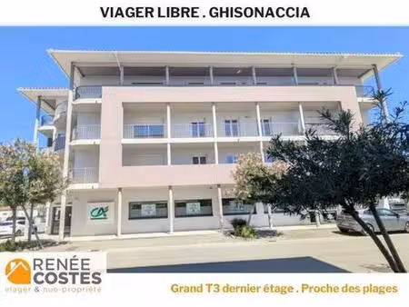 viager libre - f82-h76 ans - ghisonaccia (20240)
