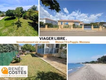 viager libre - f87 ans - poggio mezzana (20230)