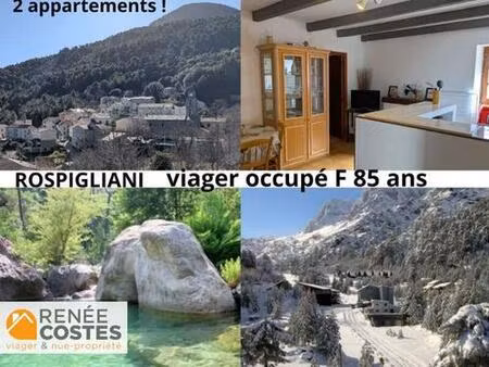 viager occupé - f85 ans - rospigliani (20242)
