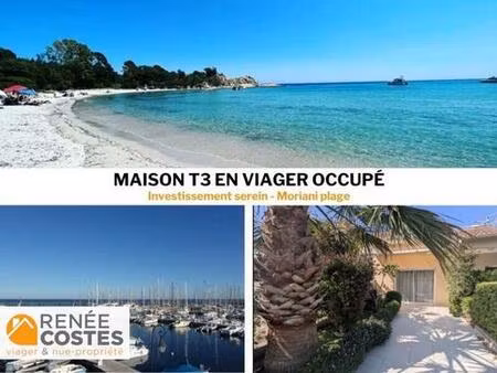 viager occupé - h69 ans - san nicolao (20230)