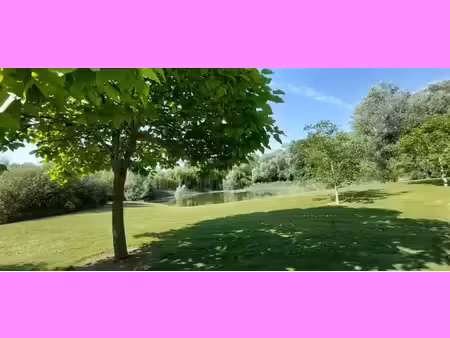 vente terrain 14200 m² saint-genou (36500)