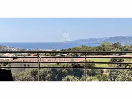 appartement avec terrasse propriano (2a)