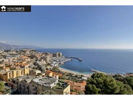 appartement de 5 chambres de luxe en vente à cap-d'ail  france