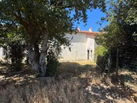 vente maison à la roche-sur-yon les forges - zone nord-ouest (85000) : à vendre / 550m² la