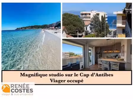 viager occupé - f74 ans - antibes (06600)