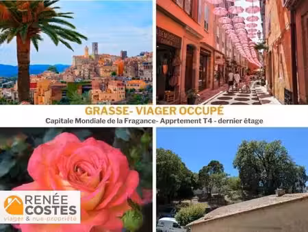 viager occupé - f75 ans - grasse (06130)