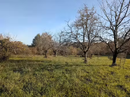 vente terrain à batir 1012 m² à cocumont (47250)  34 000 €