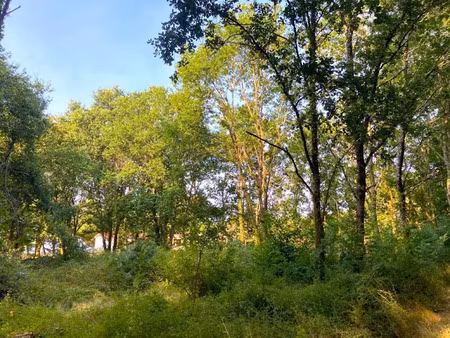 vente terrain 913 m² à morcenx-la-nouvelle (40110)  34 100 €