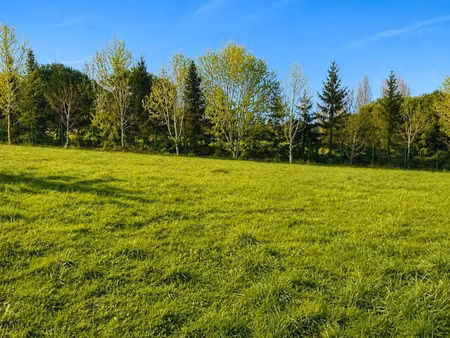vente terrain 900 m² à mensignac (24350)  20 000 €