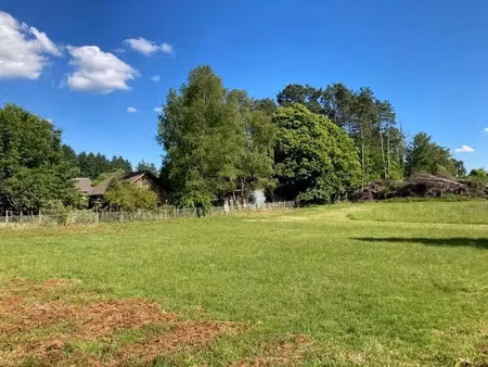 vente terrain 1440 m² à muides-sur-loire (41500)  35 000 €