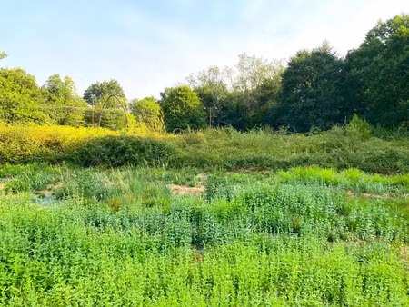 vente terrain 1274 m² à morcenx-la-nouvelle (40110)  47 600 €