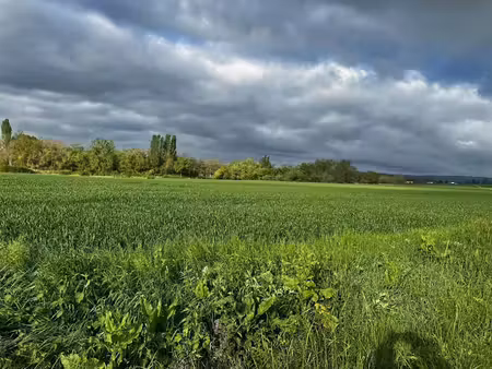 vente terrain 1800 m² à coussay-les-bois (86270)  17 000 €