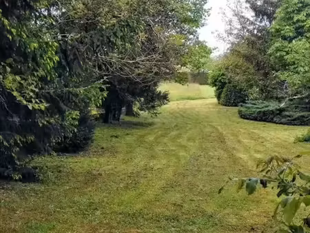 vente terrain 500 m² à vendeuvre-du-poitou (86380)  32 000 €