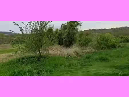 vente terrain à batir 1001 m² à braye (02880)  30 000 €