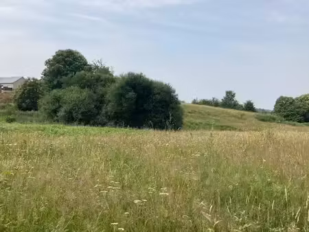 vente terrain 1056 m² à crouy-sur-cosson (41220)  35 180 €
