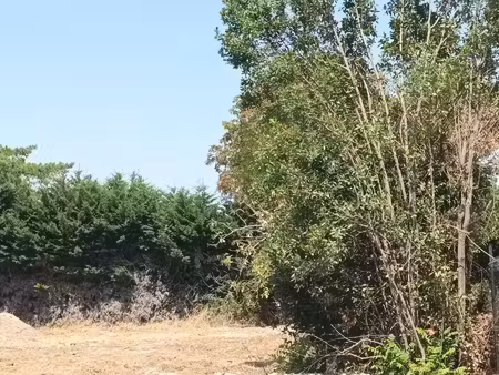 terrain nieul sur mer 1261 m2