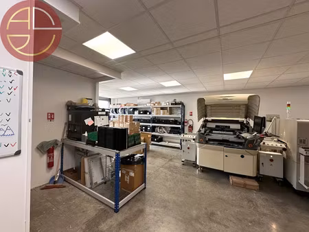 location locaux professionnels 1 pièce 396 m² à montrabé (31850)  4 224 €