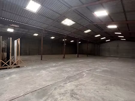 location locaux professionnels 1 pièce 1205 m² à saint-alban (31140)  4 835 €