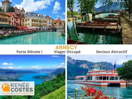 viager occupé - h78 ans - annecy (74000)