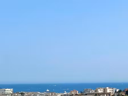 cannet limite cannes t4 de 110m2 refait a neuf terrasse pisicine parking 3313 €/m2