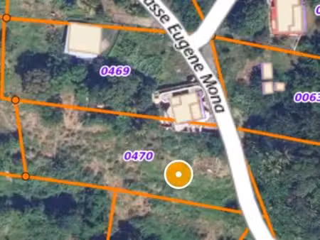 terrain riviere pilote 602 m2